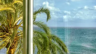 SWFL Window Film Business - 15003 