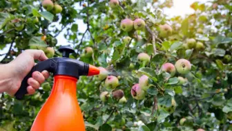 Pest Control & Vegetation Thermal Fumigation Foggers Equipment 