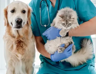Profitable Tucson Veterinarian Clinic - 20+ Years Established
