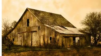 A Treasure Cove of Reclaimed Barnwood Liquidation