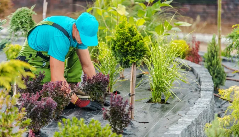 Landscaping Company for Sale