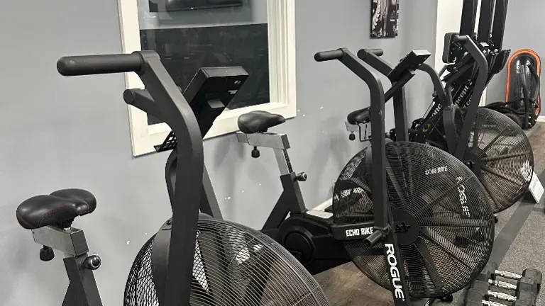 Rogue Echo Bikes