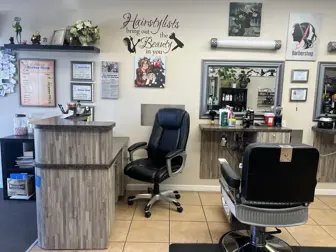 Established Hair Salon -Excellent!