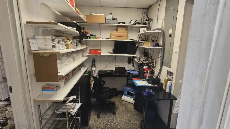 Back Area