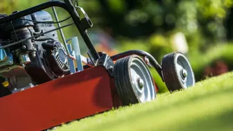 Lawn Care Business - 42626 **Real Estate Available for $299K**