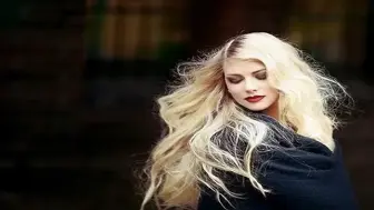 Prestigious Hair Salon