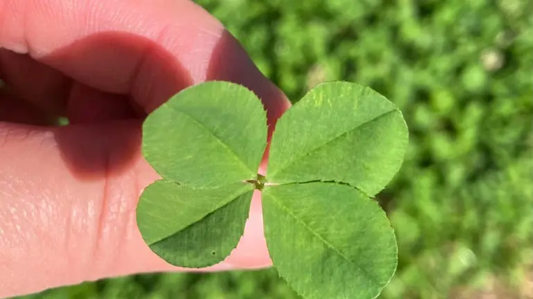 It's hard work, not luck