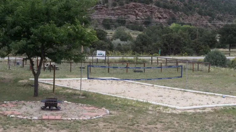 Volleyball