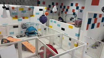 Turnkey Pet Grooming & Daycare Business for Sale – Brentwood, CA