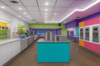 Frozen Yogurt & Treats
