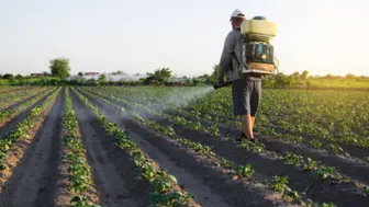 Profitable Home Based Foggers Fumigation Equipment Business in NJ