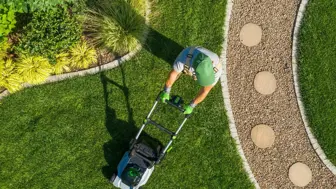 Landscaping Business