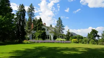 listing-image