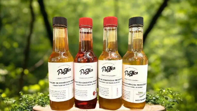 Kombucha Vinegar benefits - Improved digestion, a strengthened immune system, and increased energy