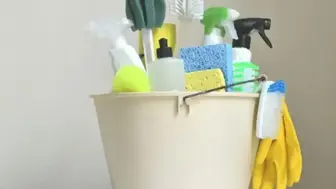 Price improvement"-Residential Cleaning Franchise Territory NW Florida