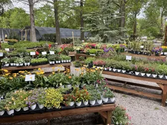 Texoma Retail-Commercial Garden, Landscape Design Center 20531