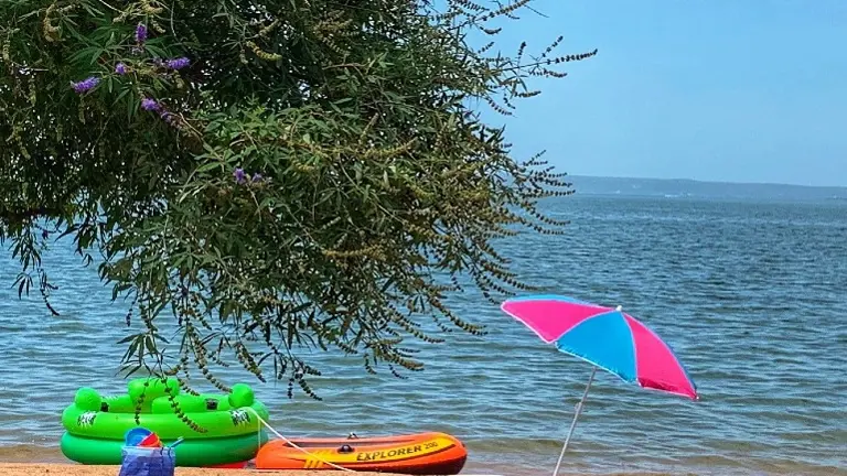 Willow Point Resort