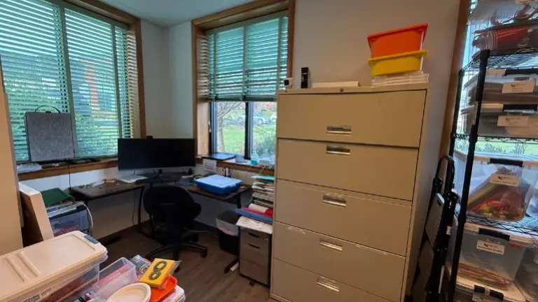 Back Office Back Office