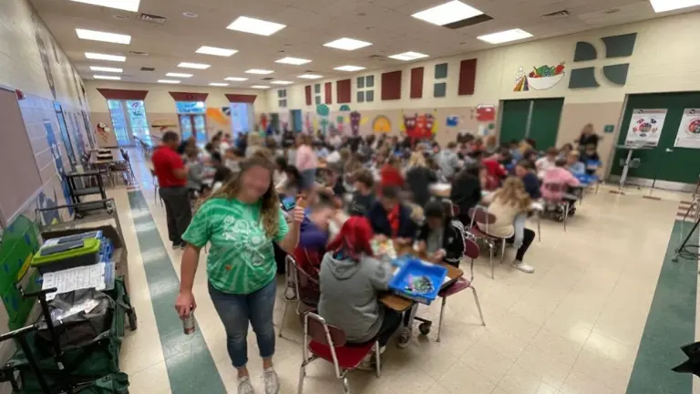 Field Trip Field Trip