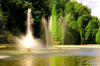 Aquatic contractor specializing in design and maintenance