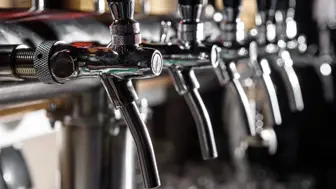 Profitable Mountain Pub | Optional Brewing Facility