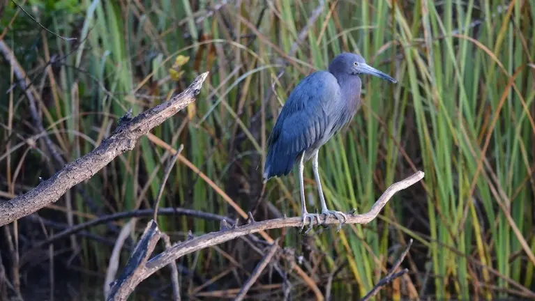 The wildlife here is the best around and there’s only five permit holders
