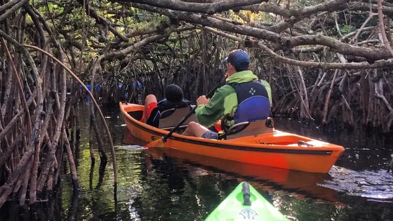 there are orchid, air plants, and many other things in these amazing tunnels. This is what the guest come from all over to see