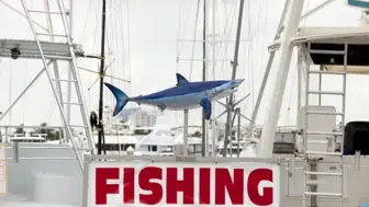 Florida Keys Fishing Charters- Upper Keys