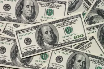 Growing Retail Business with Strong E-commerce Presence