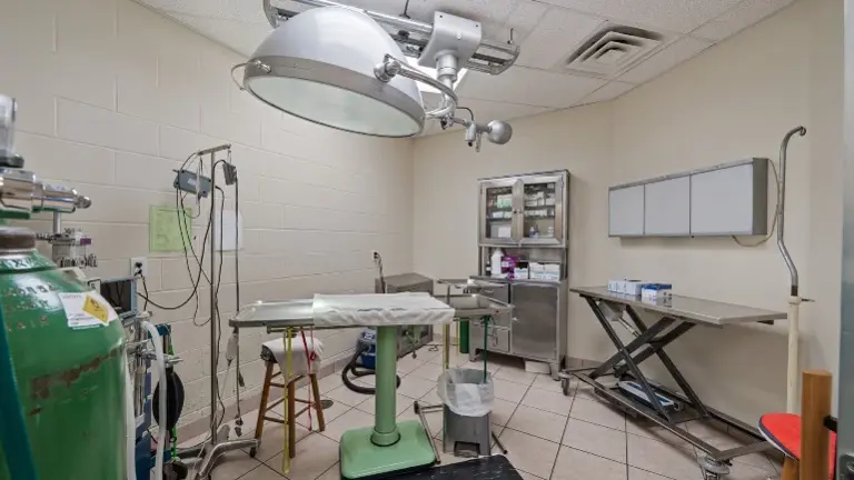 Surgical Suite Surgical Suite