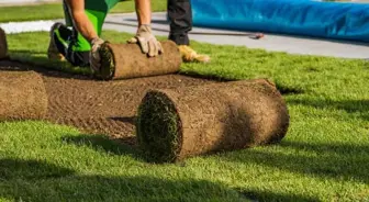 Profitable Landscape and Turf Installation Business in 3 Texas Cities