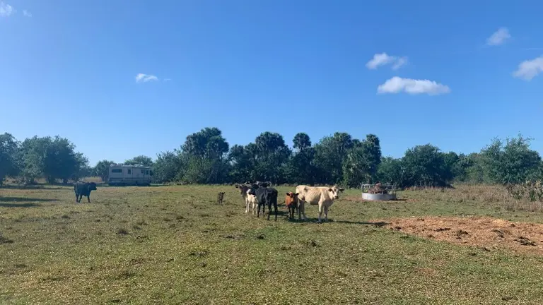 Your Florida Ranch Dream – Land, Livestock & Lifestyle