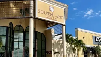 Established American food franchises