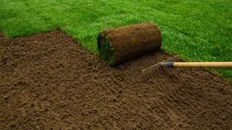 Leading Local Turf Business – Solid Revenue & Growth Potential