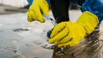 Long-Established Business in the Environmental Consulting Industry