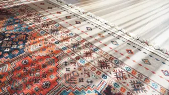 Carpet and Rug Cleaning Business - 11062