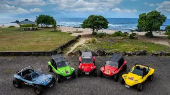 Street-Legal Dune Buggy Rental Business Opportunity