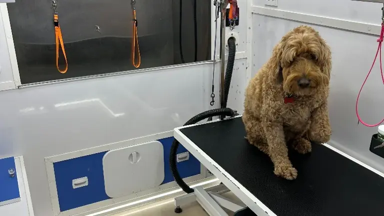 Inside Spa Upfitted Inside Spa Upfitted