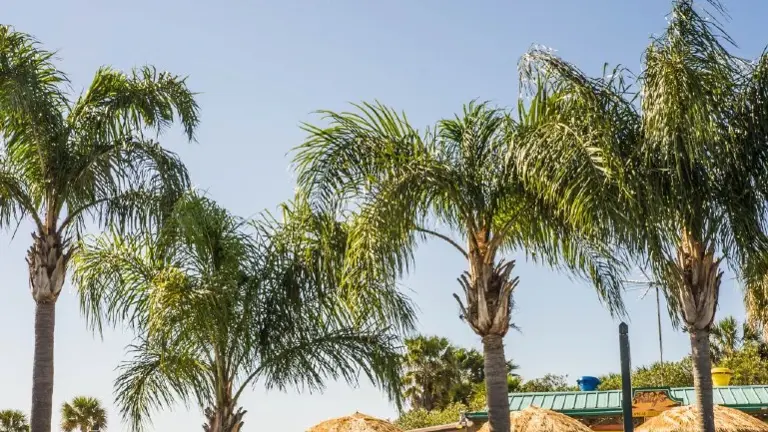 Located in a Beach Town Located in a Beach Town