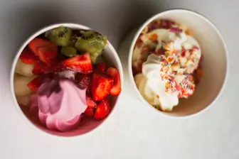 Established Non-Franchise Frozen Yogurt Business