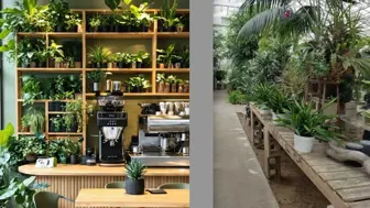 Coffee Shop or Cafe Start Up in Prime Location with low rent