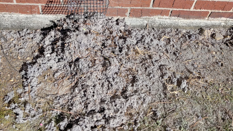 Almost Waited to long