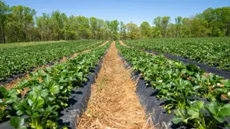 Distributor of Agricultural Wholesale Gear, Includes $600K Inventory