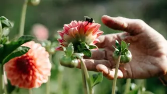 Rare Acquisition for LA Entrepreneurs: Beloved LA Flower Showroom