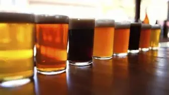 Charleston Restaurant and Bar Established and Profitable