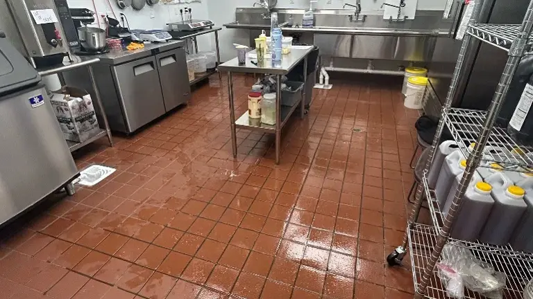 Cleanest tea shop around! Cleanest tea shop around!