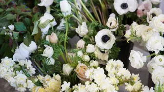 Dream Opportunity: Established Local Flower Wholesale in LA’s Market