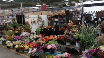Dream Opportunity: Established Local Flower Wholesale in LA’s Market