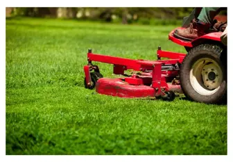 Commercial Landscaping and Property Management Business