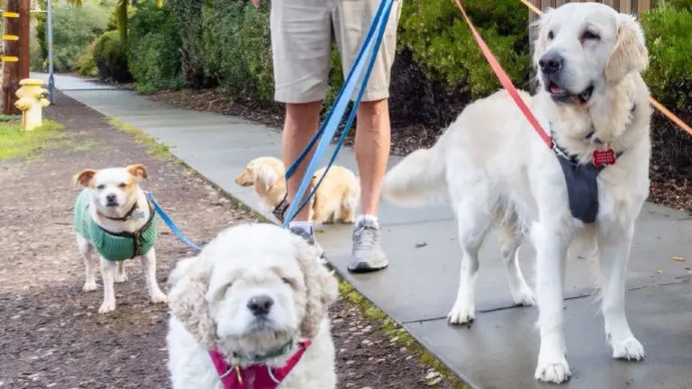 Turnkey and Ready to Grow